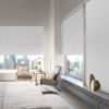 Picture of HUNTER DOUGLAS Designer Roller Shades